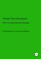 Нина Гайкова - Лето Господне русской природы