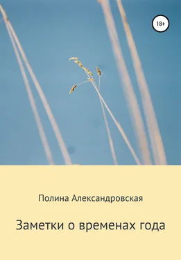 Полина Александровская Заметки о временах года обложка книги