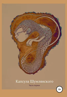 Полина Акулова Капсула Шумлянского обложка книги