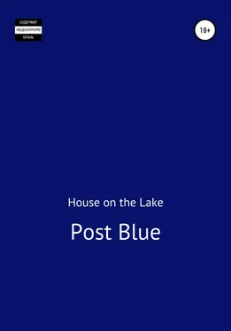 House on the Lake Post Blue обложка книги