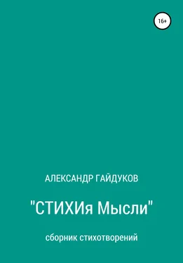Александр Гайдуков Стихия мысли обложка книги