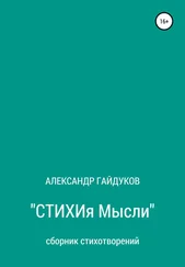Александр Гайдуков - Стихия мысли