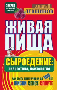 Андрей Левшинов Живая пища. Сыроедение: энергетика, психология обложка книги