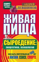Андрей Левшинов - Живая пища. Сыроедение - энергетика, психология