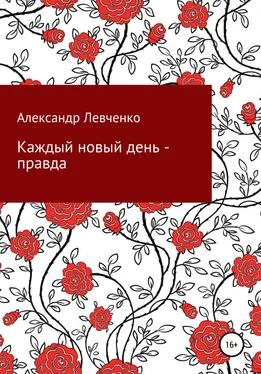 Александр Левченко Каждый новый день – правда обложка книги