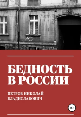 Николай Петров Бедность в России обложка книги