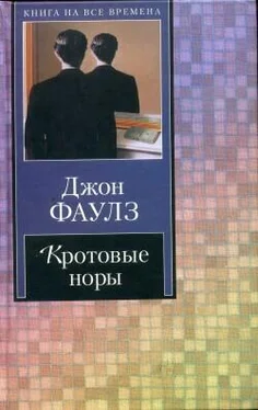 Джон Фаулз Кротовые норы обложка книги