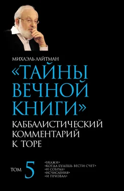 Михаэль Лайтман Тайны Вечной Книги. Том 5. «Укажи», «Когда будешь вести счет», «И собрал», «Исчисления», «И призвал» обложка книги