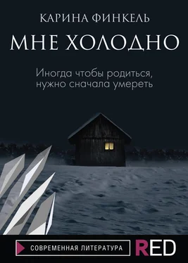 Карина Финкель Мне холодно обложка книги