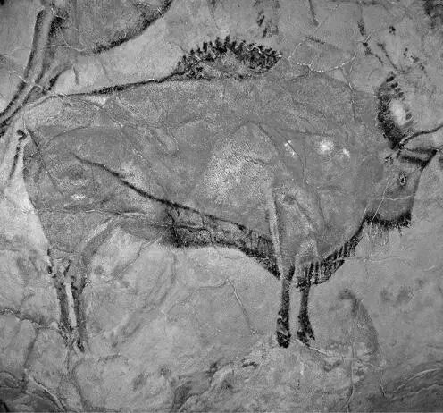 Cave of Altamira The Bison detail 14800 to 14400 BC Skepticism had taken - фото 3