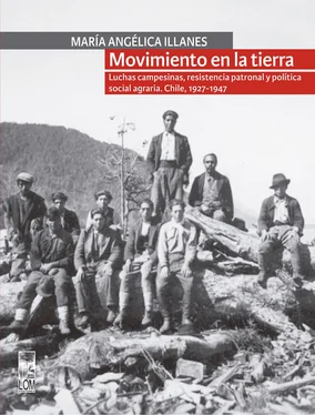María Angélica Illanes Oliva Movimiento en la tierra. Luchas campesinas, resistencia patronal y política social agraria. Chile, 1927-1947 обложка книги