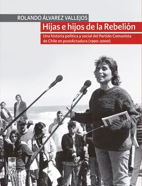 Rolando Álvarez Vallejos Hijas e hijos de la Rebelión. Una historia política y social del Partido Comunista de Chile en postdictadura (1990-2000) обложка книги