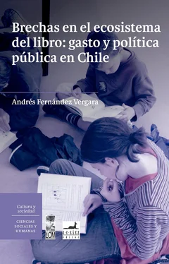 Andrés Fernández Vergara Brechas en el ecosistema del libro: gasto y política pública en Chile. обложка книги