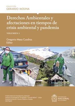 Luis Fernando Sánchez Supelano Derechos Ambientales y afectaciones en tiempos de crisis ambiental y pandemia, volumen I обложка книги
