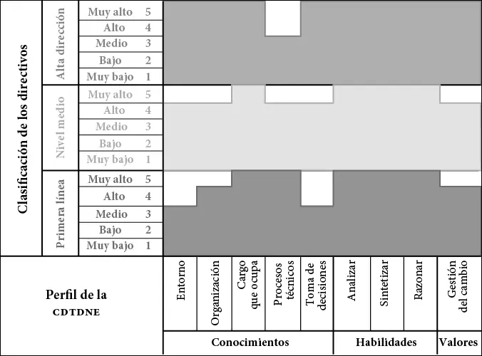 Figura 2 Perfil de la cdtdne Procedimiento para gestionar la cdtdne El - фото 10