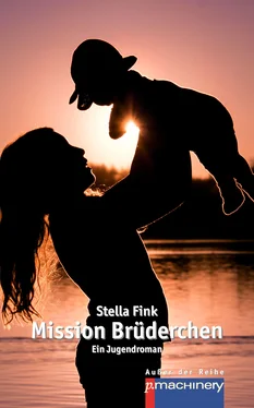 Stella Fink Mission Brüderchen обложка книги