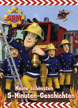 Katrin Zuschlag Feuerwehrmann Sam - Meine schönsten 5-Minuten-Geschichten обложка книги