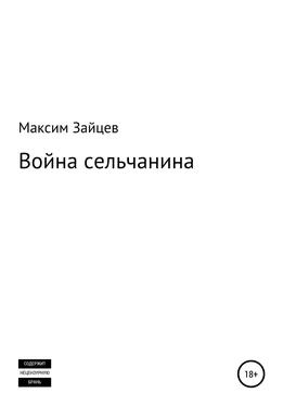 Максим Зайцев Война сельчанина обложка книги