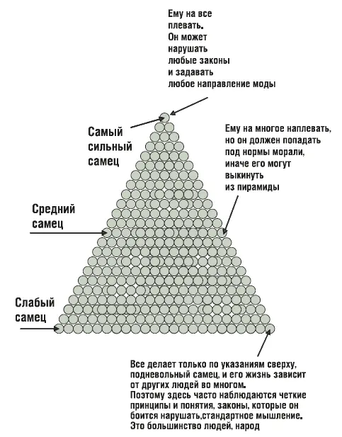 Обратите внимание на организацию какой угодно фирмы Учредитель ее старается - фото 3