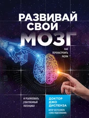 Джо Диспенза - Развивай свой мозг. Как перенастроить разум и реализовать собственный потенциал