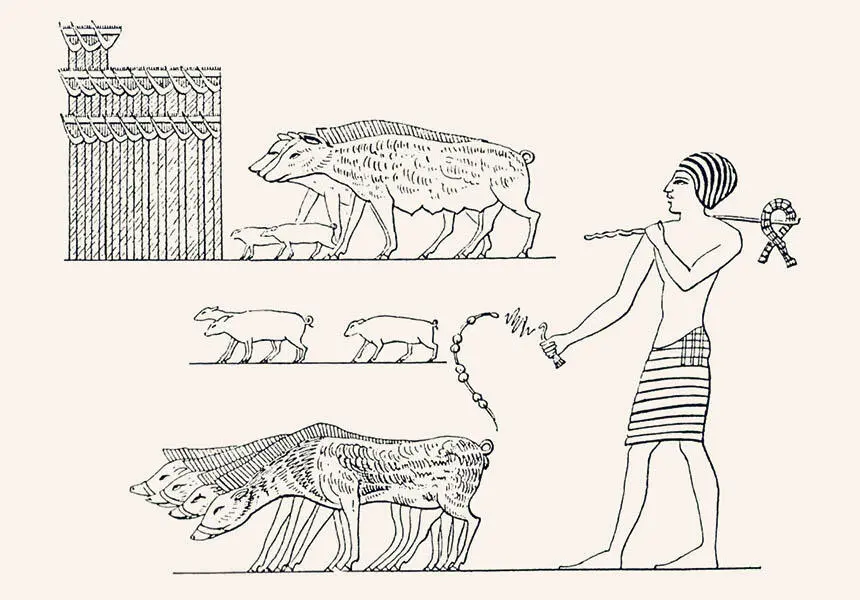 Crianza de cerdos en el antiguo Egipto mural de la tumba de Ineni arquitecto - фото 7