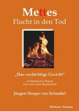 Jürgen Hoops von Scheeßel Mettes Flucht in den Tod обложка книги