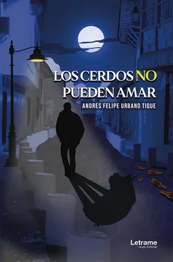 Andrés Felipe Urbano Tique Los cerdos no pueden amar обложка книги