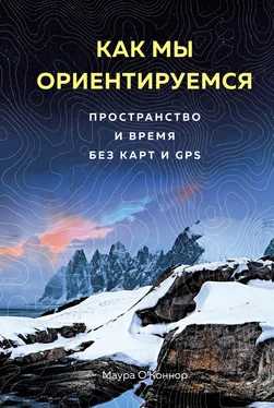 Маура О’Коннор Как мы ориентируемся. Пространство и время без карт и GPS обложка книги