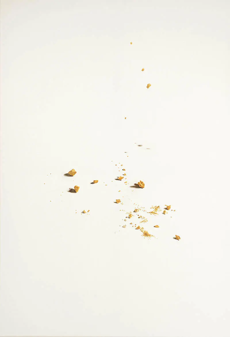 Monica Ferrando Briciole óleo sobre lienzo 80 x 80 cm El lugar blanco de la - фото 9