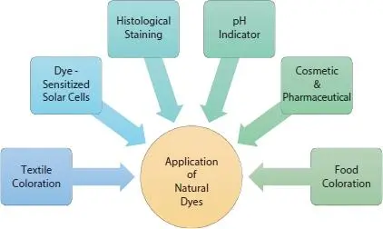 Figure 11 Schematic representation of applications of natural dyes a Textile - фото 2