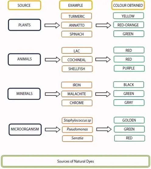 Figure 12 Sources of natural dyes 1 Plants Roots leaves fruits flowers - фото 3