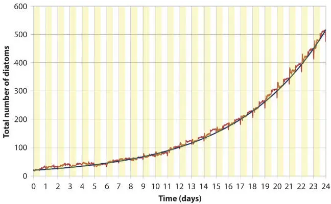 Figure 139 Total number of diatoms red with exponential fitting blue - фото 43