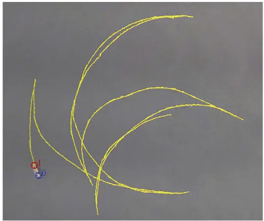Figure 112 Path of a diatom of the genus Navicula with reversal points The - фото 16