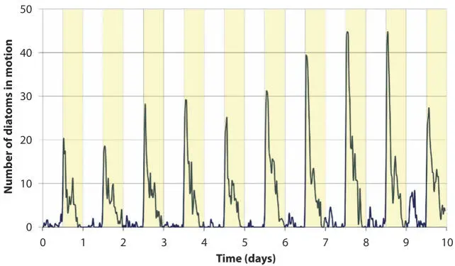 Figure 140 Number of diatoms in motion over the last 10 observation days - фото 44