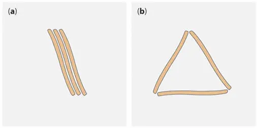 Figure 128 Energetically favorable patterns of three diatoms on the water - фото 32
