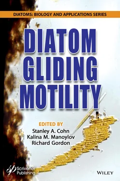 Неизвестный Автор Diatom Gliding Motility обложка книги