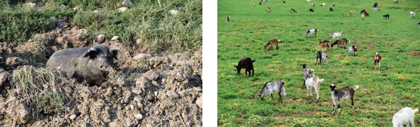 Oft ergibt sich der Nutzen für die Kultur und Naturlandschaft erst wenn wir - фото 69