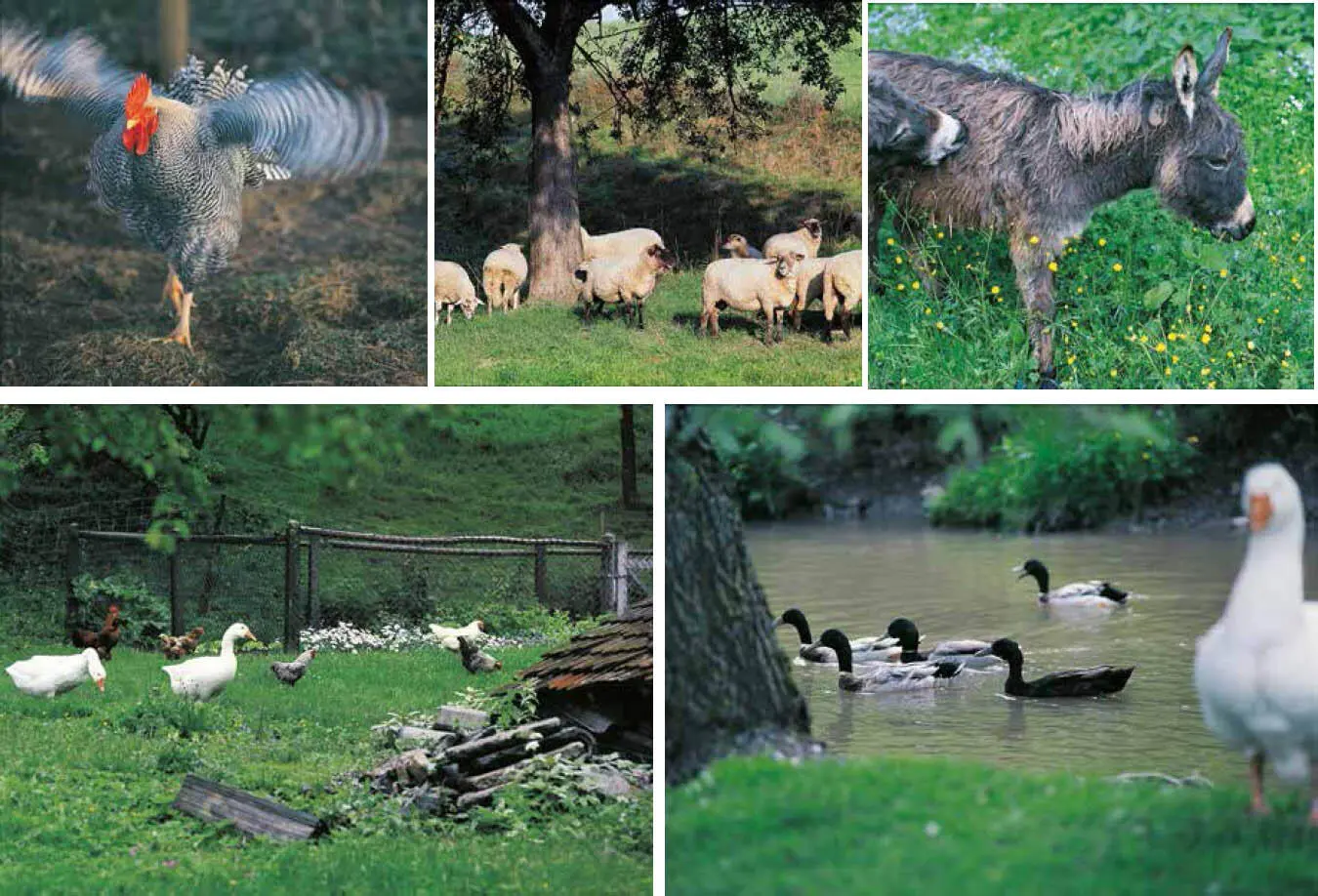 Oft ergibt sich der Nutzen für die Kultur und Naturlandschaft erst wenn wir - фото 68