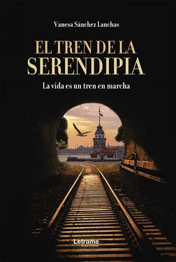 Vanesa Sánchez Lanchas El tren de la serendipia обложка книги