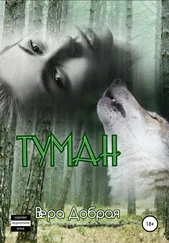 Вера Добрая - Туман