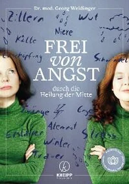 Georg Weidinger Frei von Angst durch die Heilung der Mitte обложка книги