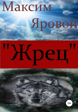 Максим Яровой «Жрец» обложка книги