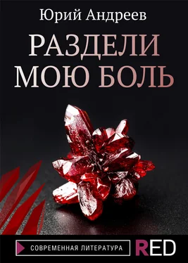 Юрий Андреев Раздели мою боль обложка книги