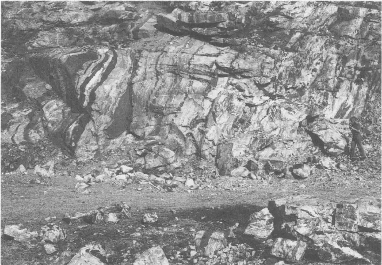 A quarry face in South Uist showing a section of Lewisian gneiss with - фото 16