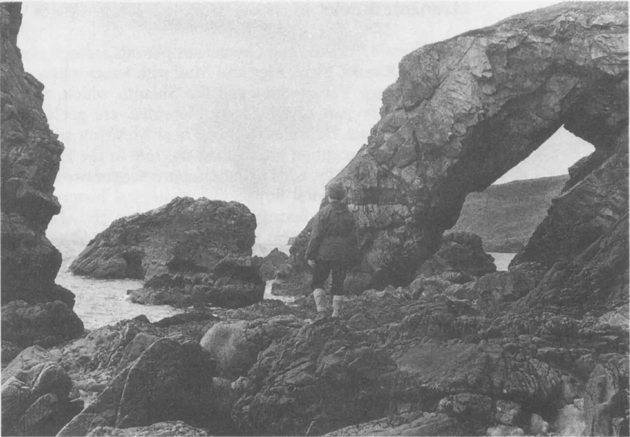 Torridonian sandstone eroded by the sea into freakish dinosaurlike shapes on - фото 17