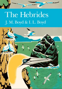 J. M. Boyd The Hebrides обложка книги