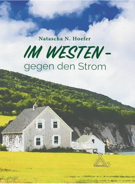 Natascha N. Hoefer Im Westen gegen den Strom обложка книги