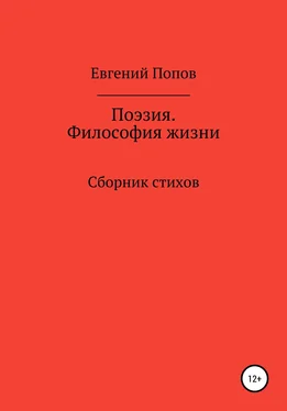 Евгений Попов Поэзия. Философия жизни обложка книги