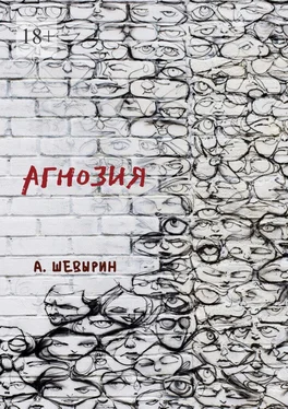 Андрей Шевырин Агнозия обложка книги
