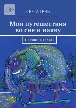 Света Тень Мои путешествия во сне и наяву. Сборник рассказов обложка книги